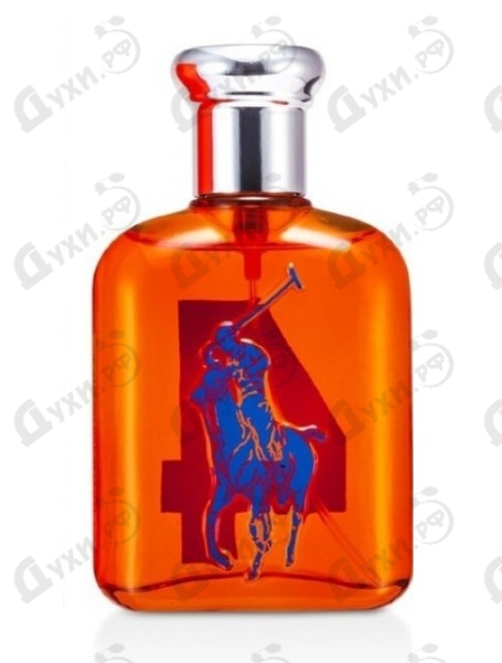 ralph lauren the big pony collection 4